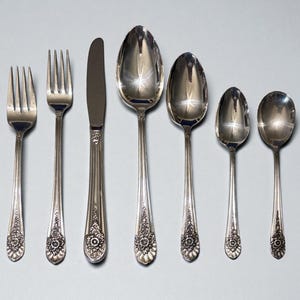 Vintage WF Rogers Jubilee Silver Plate Flatware Replacement Pieces by International