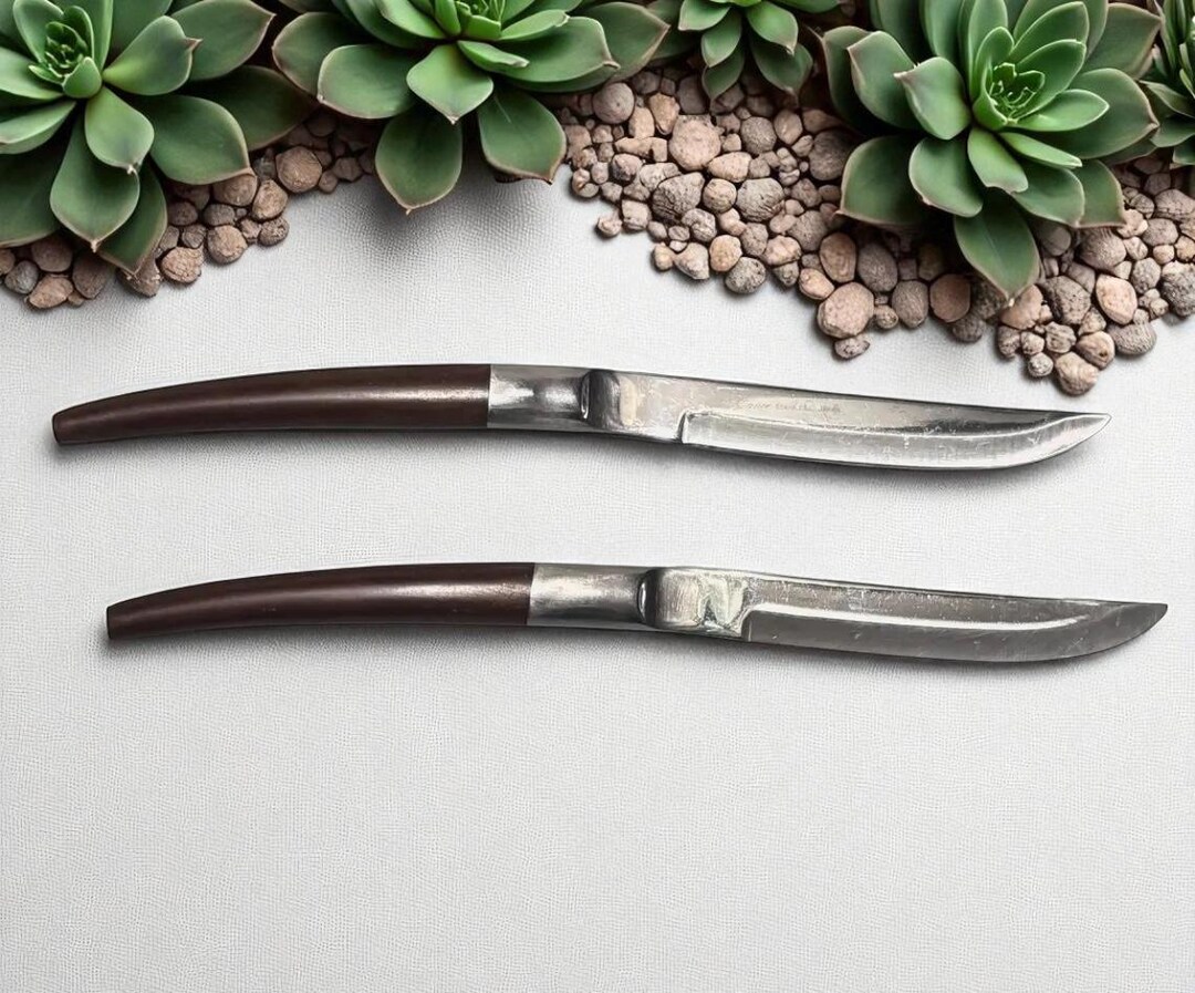 Vintage Pair of Ekco Eterna Canoe Muffin Steak Knives, Hollow