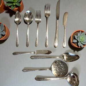 Vintage Oneida Royal Rose Silver Plate Flatware Replacement Pieces