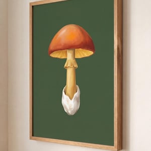 May include: A framed art print depicting a detailed illustration of a mushroom against a dark green backdrop. The mushroom has a reddish-brown cap, a light yellow underside, and a beige stem. The artwork is encased in a natural wood frame.