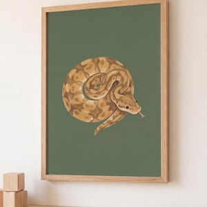 Puede incluir: Una impresión enmarcada con una ilustración de una serpiente enroscada. La serpiente está representada en tonos marrones y beige sobre un fondo verde liso. La obra de arte está encerrada en un marco de madera de color claro, adecuado para la decoración del hogar.