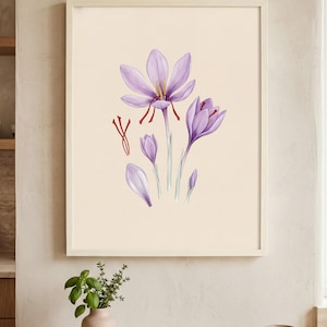 May include: A framed botanical print showing a watercolour illustration of saffron flowers. The artwork features detailed depictions of the purple flowers, buds, and saffron threads against a cream background. The print is in a white frame.