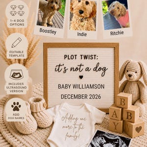 May include: A felt letter board with the text PLOT TWIST: it's not a dog, BABY WILLIAMSON, DECEMBER 2026. Includes a white baby onesie with the text Adding one more to the family, a crochet bunny, wooden blocks spelling BABY, and an ultrasound image.