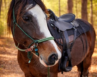 Handmade Paracord Bitless Bridle with Braided Noseband for Natural Horsemanship