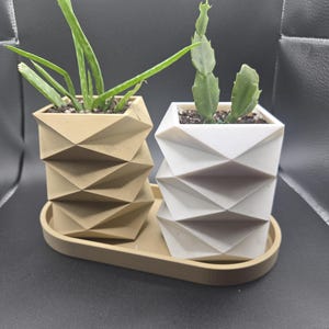 May include: Two geometric planters, one tan and one white, each holding a small succulent. The planters sit on a matching tan tray. The geometric design of the planters adds a modern touch to the plant display.