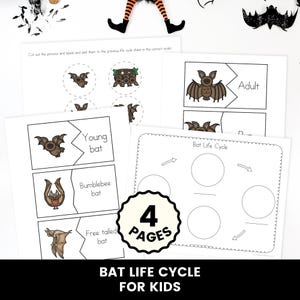 May include: A four-page educational printable set titled Bat Life Cycle for Kids. The pages feature black and white line drawings of bats, including a young bat, bumblebee bat, and free-tailed bat, with text labels and a circular diagram.