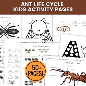 Puede incluir: Páginas de actividades educativas para niños con diagramas del ciclo de vida de las hormigas y problemas de matemáticas. Las páginas incluyen ilustraciones de hormigas, sus partes y las etapas de desarrollo. El texto "ANT LIFE CYCLE KIDS ACTIVITY PAGES" está en la parte superior, con "50+ PAGES!" en un círculo.