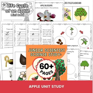 Könnte beinhalten: Eine Sammlung von Arbeitsblättern mit dem Titel Life Cycle of an Apple Mini Book, die schwarz-weiße Strichzeichnungen, Schreibübungen in Schreibschrift und farbige Illustrationen der Wachstumsphasen eines Apfelbaums enthält, inklusive eines Deckblatts mit der Aufschrift Junior Scientist Science Study: 60+ Pages.