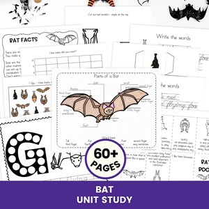 以下が含まれることがあります： 60ページ以上の学習アクティビティを含むBat Unit Studyと題された教育用ワークシートのコレクション。各ページにはParts of a Batとラベル付けされた図、数え方の練習、書き取りの練習、白黒のイラスト付きのコウモリに関する事実が含まれています。