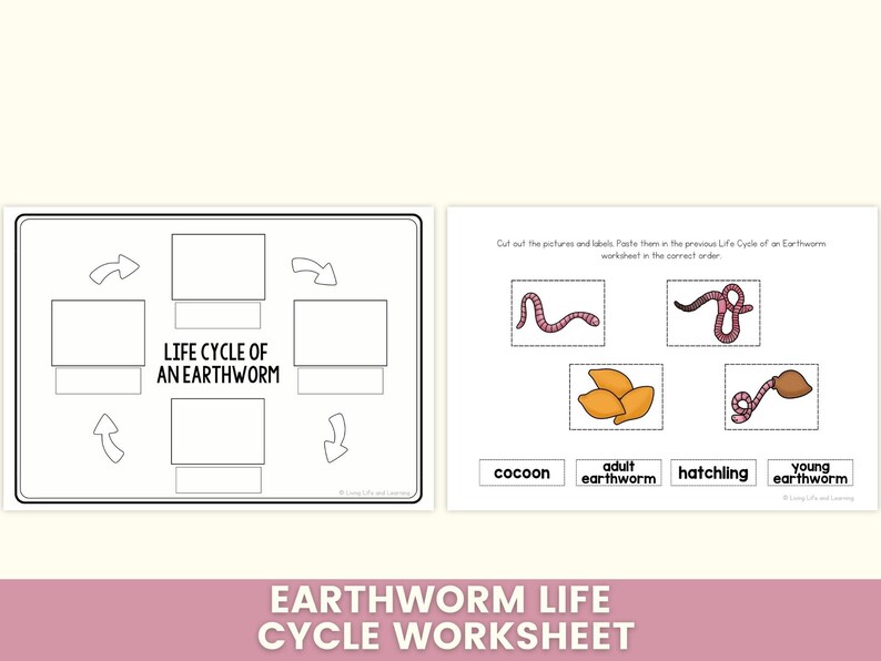 Earthworm Life Cycle Worksheet Printable, Science Cut and Paste ...