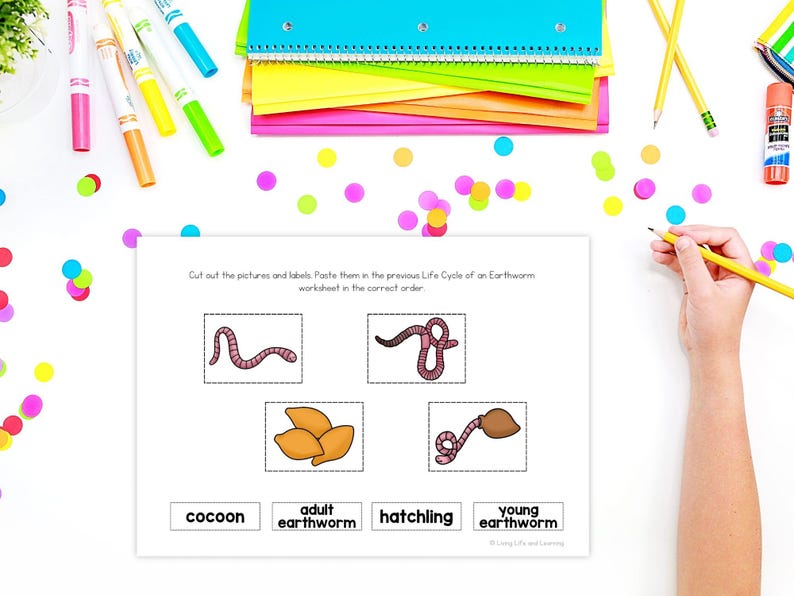 Earthworm Life Cycle Worksheet Printable, Science Cut and Paste ...