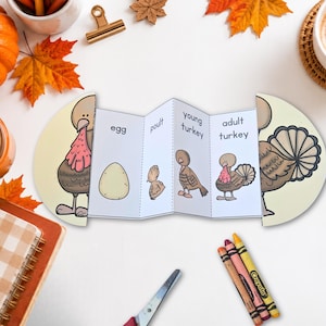May include: A paper accordion-fold educational craft showing the life cycle of a turkey. The panels feature illustrations and text labels for egg, poult, young turkey, and adult turkey, framed by two semi-circular turkey illustrations.