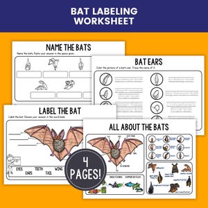 Może przedstawiać: Zestaw czterech arkuszy ćwiczeń o nietoperzach. Strony zawierają Name the Bats, Bat Ears, Label the Bat oraz All About the Bats, z czarno-białymi rysunkami liniowymi, diagramami anatomicznymi nietoperzy i plakietką 4 PAGES!.