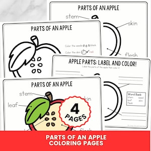 Könnte beinhalten: Ein Set aus vier pädagogischen Ausmalblättern mit dem Titel Parts of an Apple. Die Seiten zeigen schwarz-weiße Strichzeichnungen von Apfelquerschnitten mit Beschriftungen für Stiel, Schale, Fruchtfleisch, Blatt und Kerne sowie eine Wortliste.