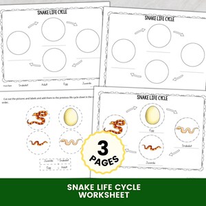 May include: A three-page educational worksheet set titled Snake Life Cycle. The pages feature diagrams with circular spaces for cut-out illustrations of an egg, snakelet, juvenile, and adult snake, along with arrows indicating the developmental sequence.