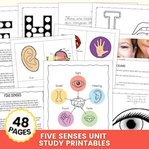 May include: A collection of educational printables for a five senses unit. The pages include illustrations of the ear, eye, nose, and tongue, along with text describing each sense. The image also features the text "48 PAGES" and "FIVE SENSES UNIT STUDY PRINTABLES".