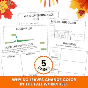 May include: A five-page educational worksheet set titled Why Do Leaves Change Colour In The Fall. The pages feature black and white diagrams, text prompts about leaf layers, pigments, and factors affecting colour, with colourful autumn leaf accents.