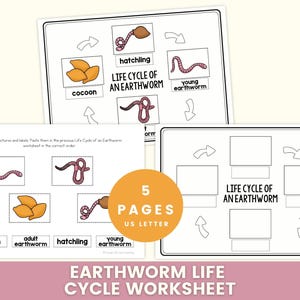 May include: Educational worksheet set illustrating the life cycle of an earthworm. The set includes five pages with diagrams and labels for stages like cocoon, hatchling, and adult earthworm. The text "Life Cycle of an Earthworm" is displayed.