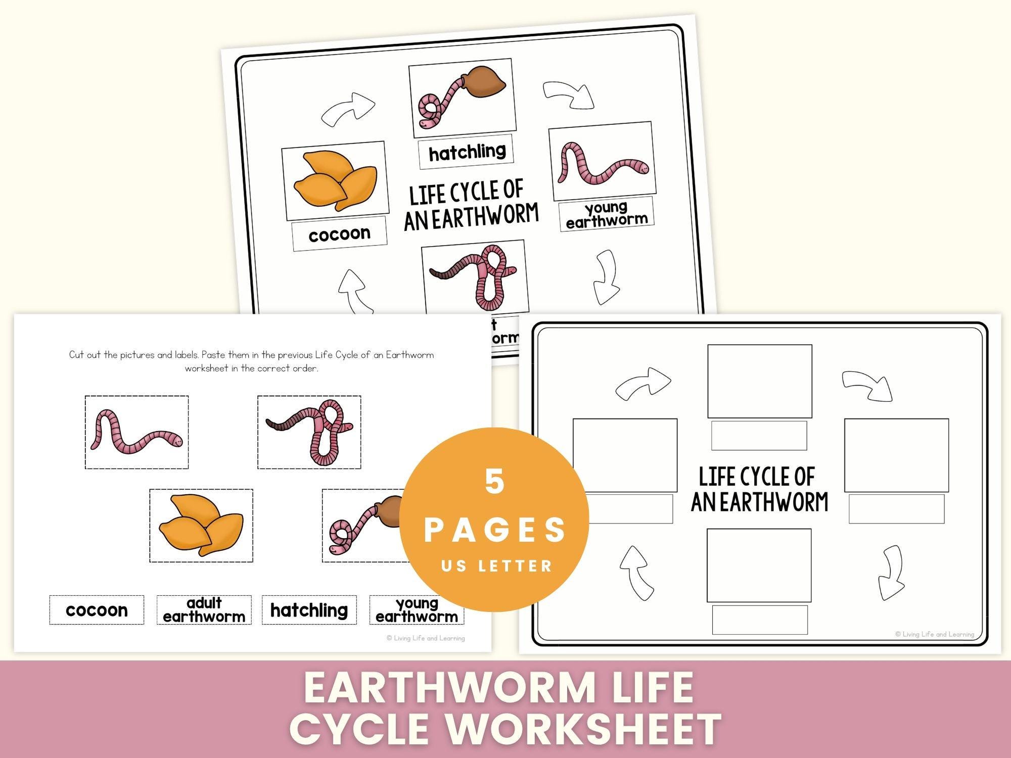 Earthworm Life Cycle Worksheet Printable, Science Cut and Paste ...