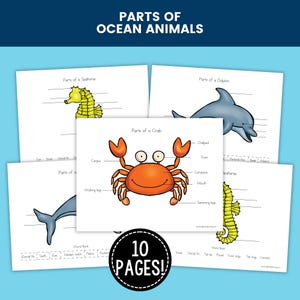 May include: A collection of educational worksheets titled Parts of Ocean Animals, featuring illustrations of a crab, seahorse, and dolphin with labeled anatomy parts and word banks. The set includes 10 pages of printable diagrams for learning.