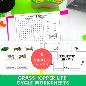 Grasshopper Activity, Life Cycle Worksheets for Kids, Insect Life Cycle Printable, Cut and Paste Science Activity, Word Search PDF