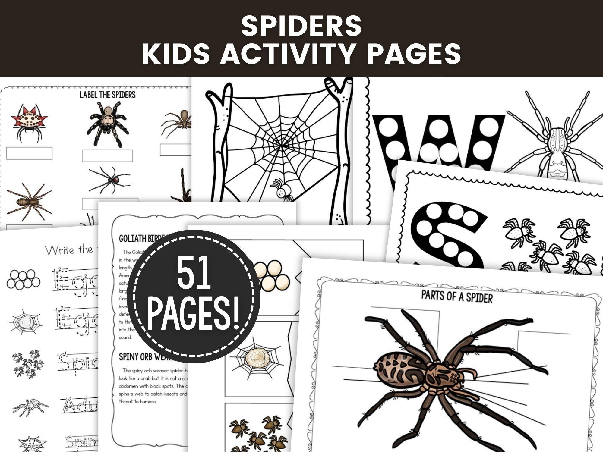 Spider Worksheets for Kids, Arachnid Unit Study Printable, Life…
