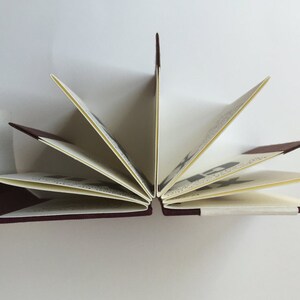 May include: A burgundy-colored book with pages fanned out, revealing a cream-colored interior with black ink drawings. The book is closed on the left and right sides, with the spine visible in the center.