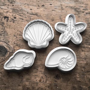 May include: Four white plastic cookie cutters in the shapes of seashells and a starfish. The seashell shapes include a scallop shell, a conch shell, and a nautilus shell. The starfish has five points and small circular indentations.