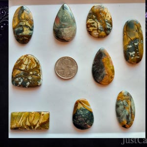 May include: A collection of polished gemstones in various shapes, including oval, teardrop, and rectangular. The stones display a mix of earthy colors like brown, yellow, and green, with unique veining patterns. A quarter coin is included for size reference.