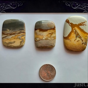 Owyhee Jasper Cabochons and Parcels – Hand Cut, Natural, High Polish