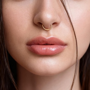 Anillo de titanio G23 para tabique nasal con cierre de clic (14G, 16G, 18G y 20G) para nariz, labio, hélix y cartílago.