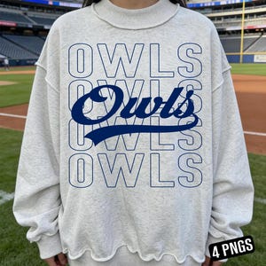 Peut inclure: Un sweat-shirt gris clair avec le mot "OWLS" imprimé en bleu marine. Le mot est répété quatre fois, le mot du milieu étant en écriture cursive. Le sweat-shirt a un col rond et des manches longues.