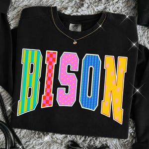 May include: A black crewneck sweatshirt featuring the word BISON in large, varsity-style block letters. Each letter has a unique pattern: green and blue stripes, red and pink checkers, pink with yellow dots, blue with dots, and yellow with pink lightning bolts.