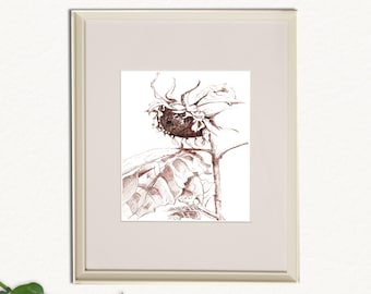 Sunflower Botanical Ink Watercolor Print, Sepia Floral Wall Art, Nature Art Gift, 5x7 or 8x10