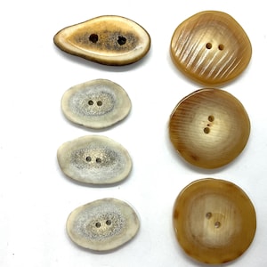 Antler & Horn Buttons  7 pieces
