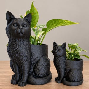 Kattenbloempot, plantenvaas, cadeau, bureau- of plankdecoratie, kamerplant, keuken- of kantooropbergbak