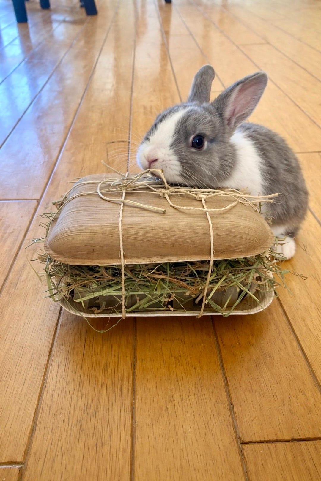 Mega Sandwich Rabbit Forage Treat - Etsy
