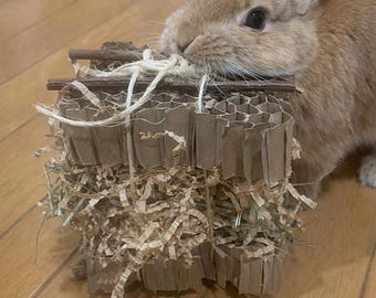 Rabbit Enrichment Toy and Treat