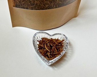 Dried Mealworms 100g | High Protein Treat for Hamsters, Rabbits, Hedgehogs, Chickens