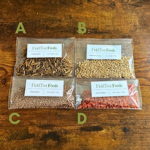 Puede incluir: Cuatro bolsas transparentes de comida para mascotas se muestran sobre una superficie de madera. Las bolsas contienen gusanos de la harina, granos de avena entera, trigo sarraceno y copos de zanahoria. Cada bolsa tiene una etiqueta que dice "FieldTest Feeds".