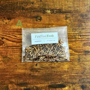 Puede incluir: Una bolsa de pl&aacute;stico transparente llena de gusanos de la harina secos, con la etiqueta "FieldTest Feeds". La etiqueta blanca indica "mealworms" y "peso neto: 15g". La bolsa est&aacute; sobre una superficie de madera.