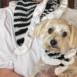 Hand Knitted Zebra Pattern Scarves for Pet and Owner Set – Acrylic Yarn