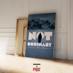 May include: A framed art print featuring a penguin walking on snow with mountains in the background. The words "NOT ORDINARY" are displayed in large white letters. The print also includes the text "Purpose within nothingness!"