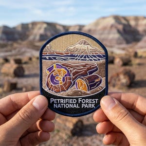 May include: Embroidered patch featuring a landscape scene with petrified wood logs. The patch has a blue border and the text "PETRIFIED FOREST NATIONAL PARK" in white. The background shows a mountain range under a blue sky. The patch is held by two hands.