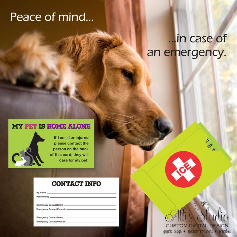 Pet Puppy House By yourself Crisis Identity Get in touch with Card ICE image about My Dog is Home Alone Card Printable titled Puppy Puppy House By yourself Unexpected emergency Identity Speak to Card ICE