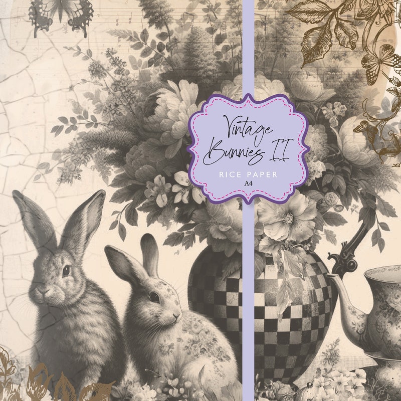 Peter Rabbit Rice Paper - Etsy