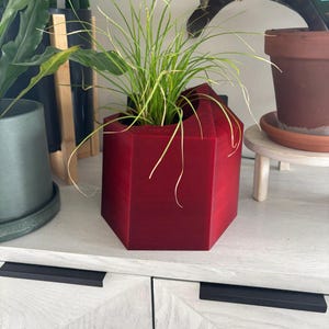 May include: A red, geometric planter holding a green plant with long, thin leaves. The planter has a unique, angular design and sits on a white cabinet. Other plants are visible in the background.
