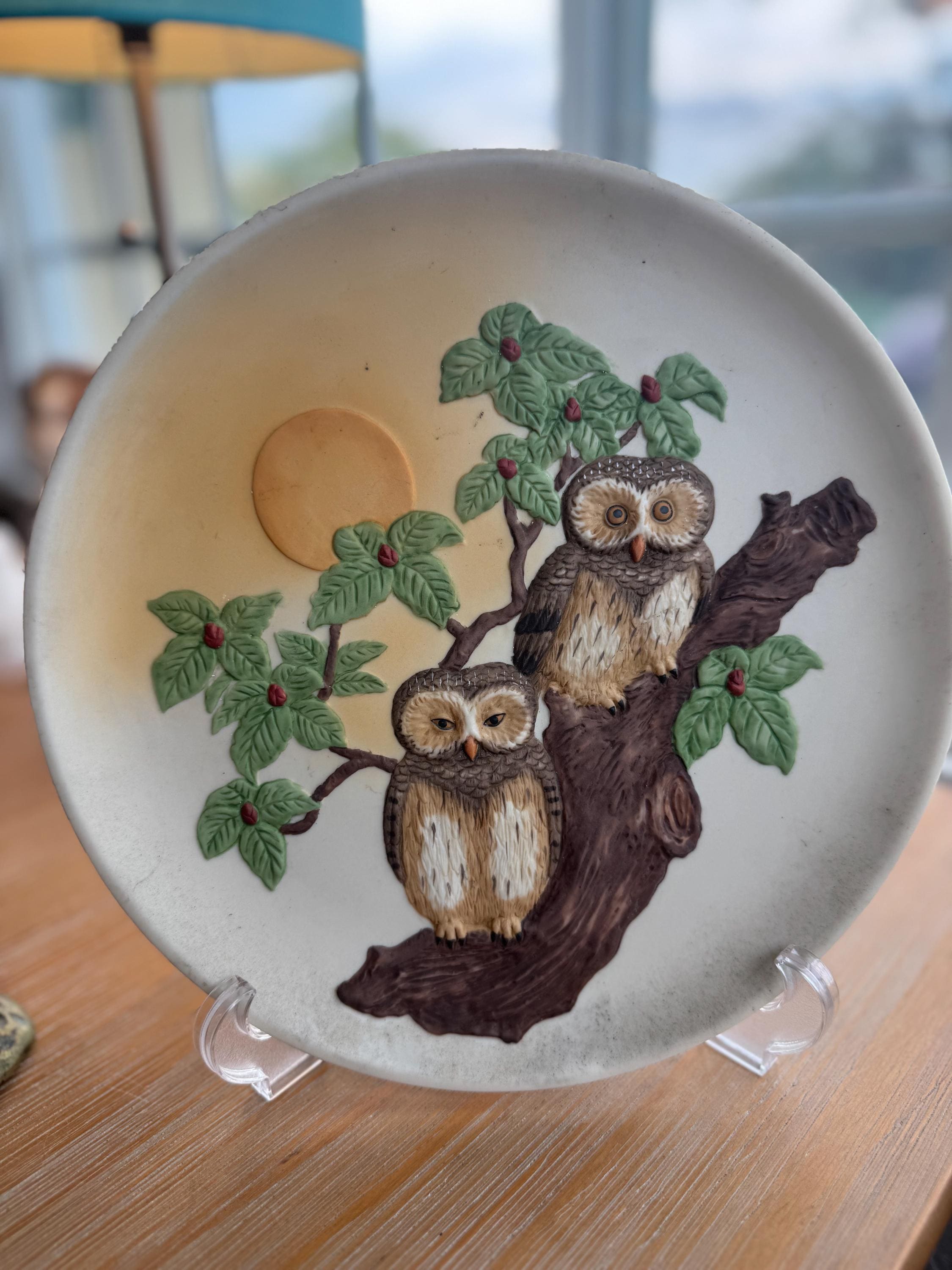 Vintage &ldquo;BIRDS of THE WORLD&rdquo; Owl Plate. First Edition by Expressive Designs