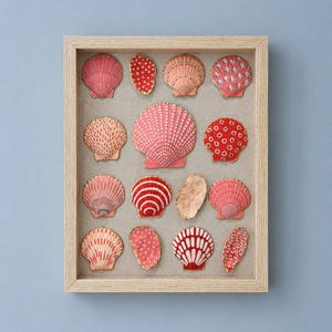 Könnte beinhalten: Eine gerahmte Sammlung dekorativer Muscheln in verschiedenen Rosa- und Rottönen. Die Muscheln sind auf einem neutralen Leinenhintergrund in einem hellen Holzrahmen angeordnet. Die Muscheln haben komplizierte Muster und einen goldenen Rand.