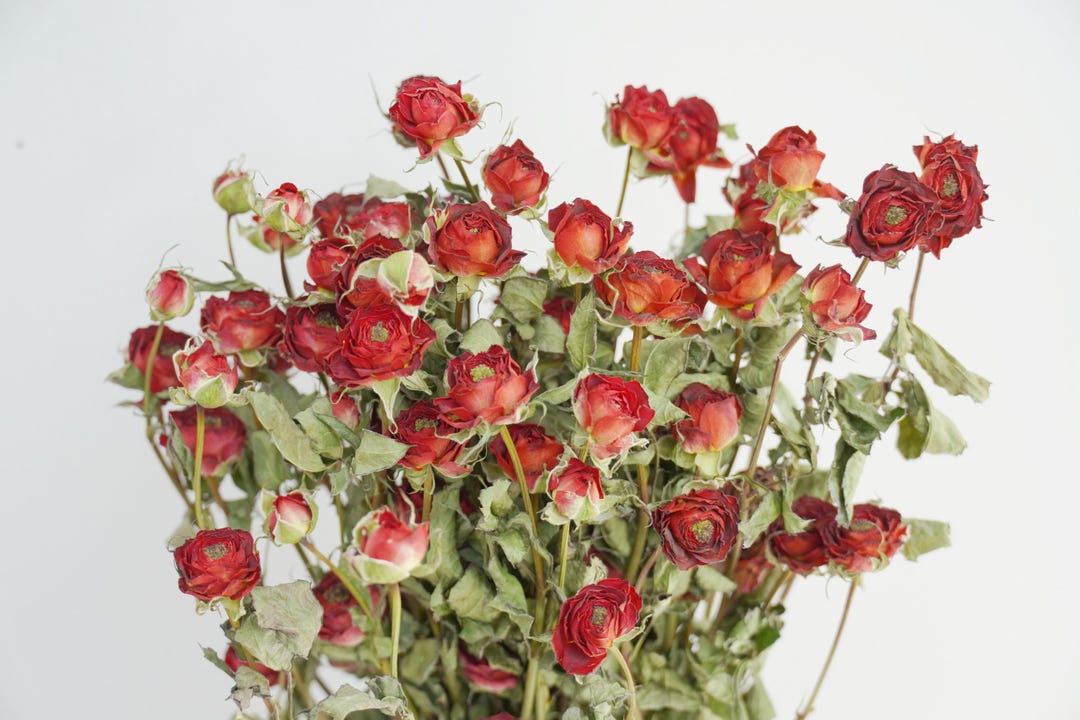 Washed Red Roses Dried Red Rose Bouquet, Home Decor - Etsy
